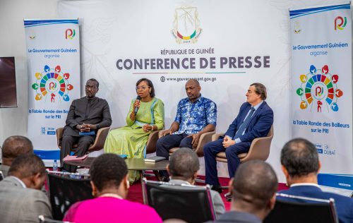 Table Ronde des Bailleurs sur le PRI : le Gouvernement guinéen s’active