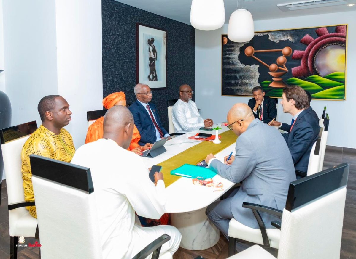 Energie : EDF propose des solutions à la Guinée
