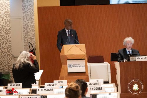 MSHP - ASSEMBLÉE MONDIALE DE LA SANTÉ À GENÈVE les grandes lignes du discours de Dr Oumar Diouhé BAH