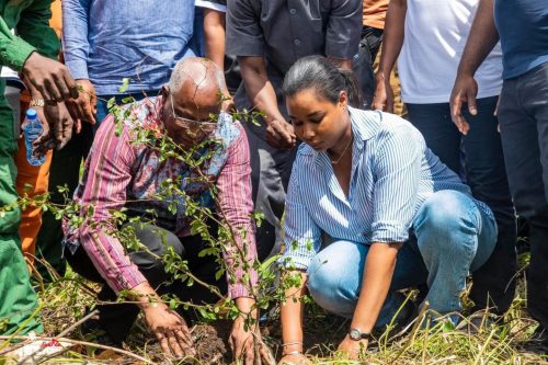 Campagne de Reboisement 2024 : le Premier Ministre lance les activités sur le site de Kakimbo