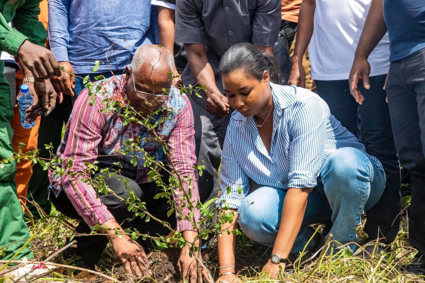 Campagne de Reboisement 2024 : le Premier Ministre lance les activités sur le site de Kakimbo