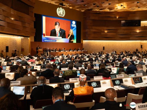 MSHP 78ème Assemblée Mondiale de la Santé à Genève    l'OMS décerne un satisfecit à la Guinée pour l'élimination de la maladie du sommeil